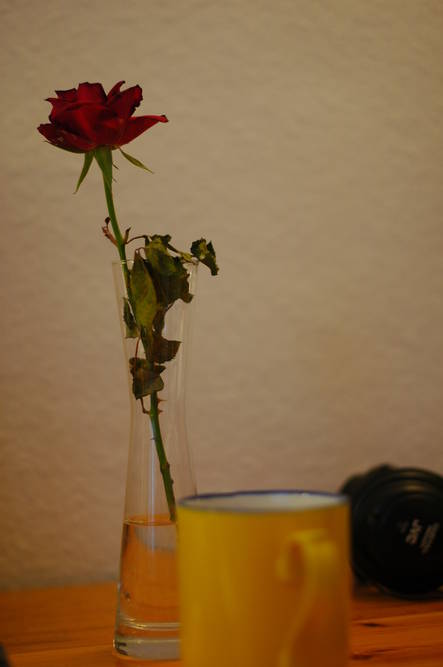 Still Life: A view to the right of my Monitor
