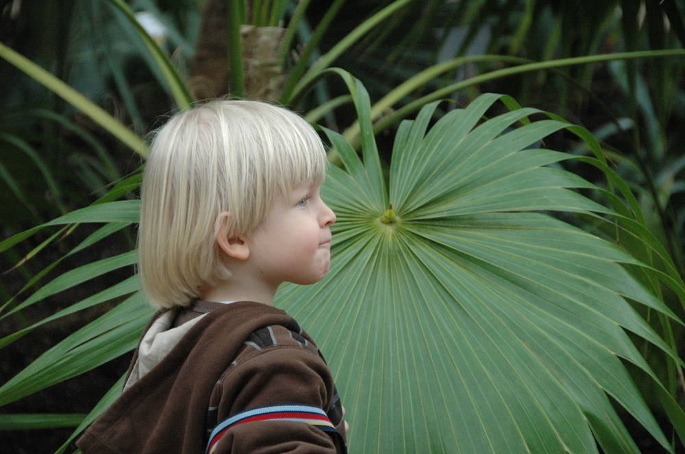Dylan in front of Leaf